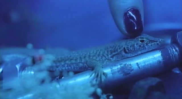 Rezubian reipu: Amai mitsujû (1991)-poster