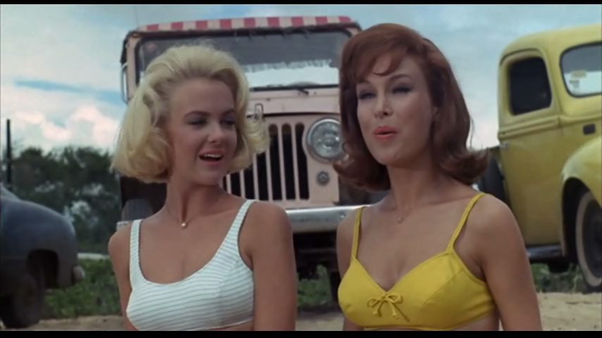 Ride the Wild Surf (1964) Don Taylor, Phil Karlson, Fabian, Shelley Fabares, Peter Brown, Comedy, Drama, Sport-poster