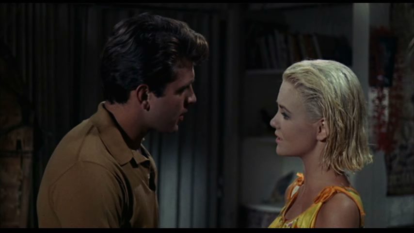 Ride the Wild Surf (1964) Don Taylor, Phil Karlson, Fabian, Shelley Fabares, Peter Brown, Comedy, Drama, Sport-poster