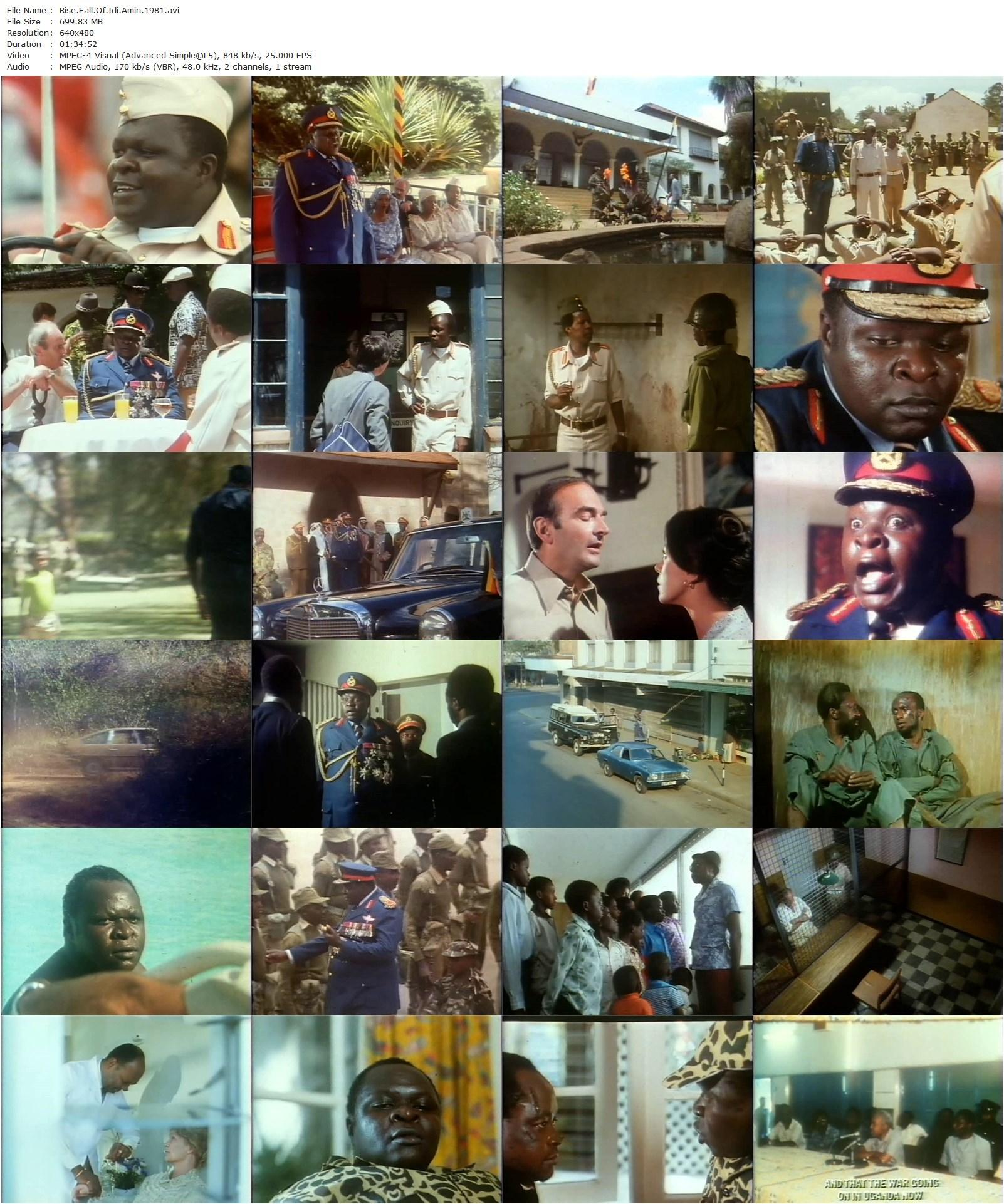 Rise and Fall of Idi Amin (1981) Sharad Patel, Joseph Olita, Thomas Baptiste, Leonard Trolley-poster