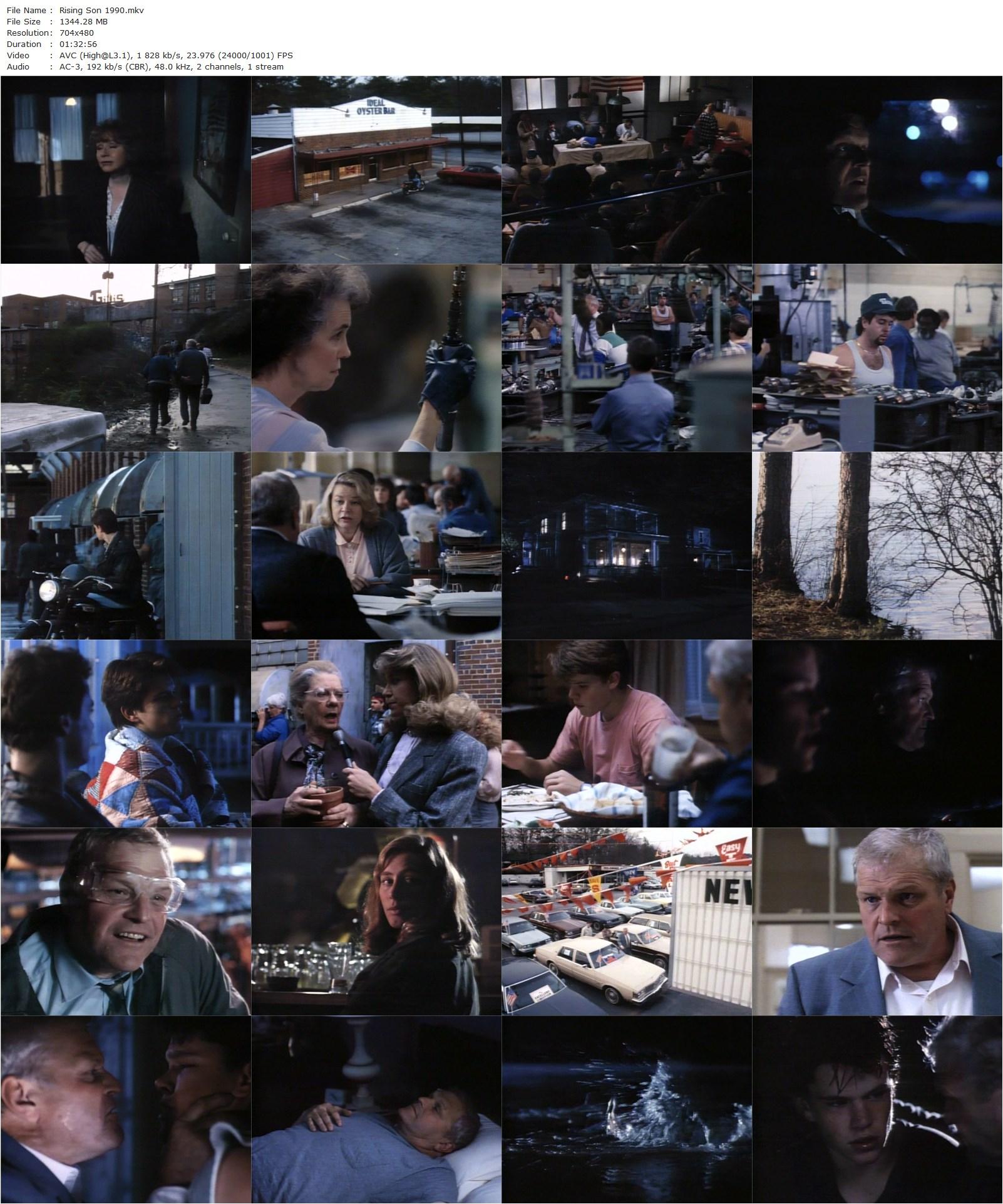 Rising Son (1990) John David Coles, Brian Dennehy, Piper Laurie, Graham Beckel-poster