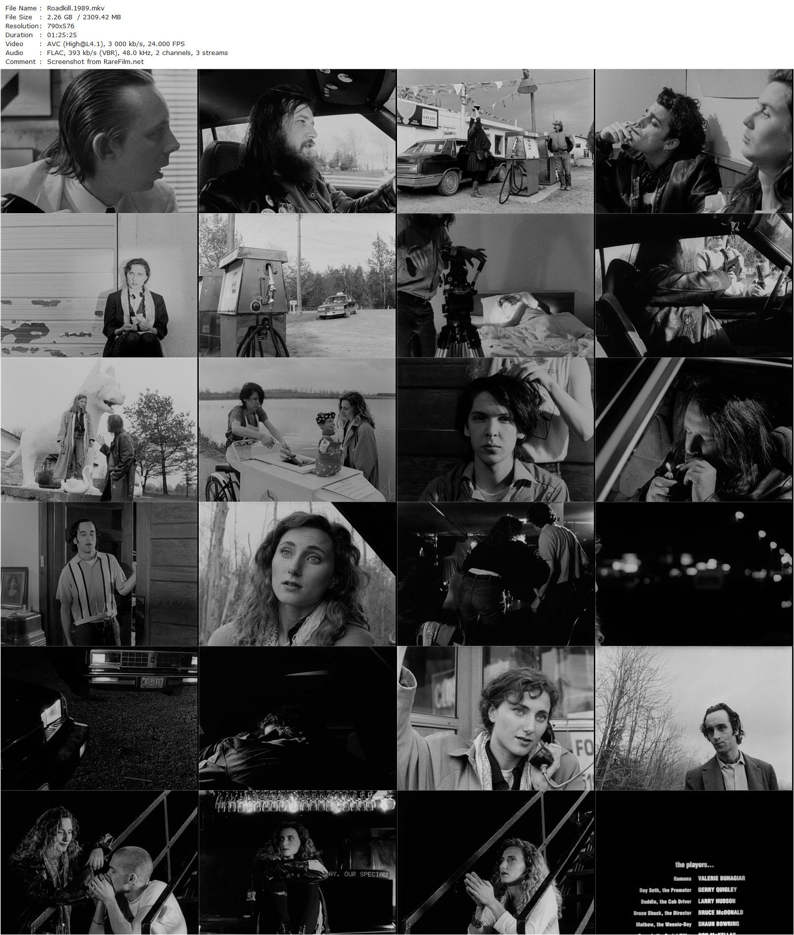 Roadkill (1989) Bruce McDonald, Valerie Buhagiar, Gerry Quigley, Larry Hudson-poster