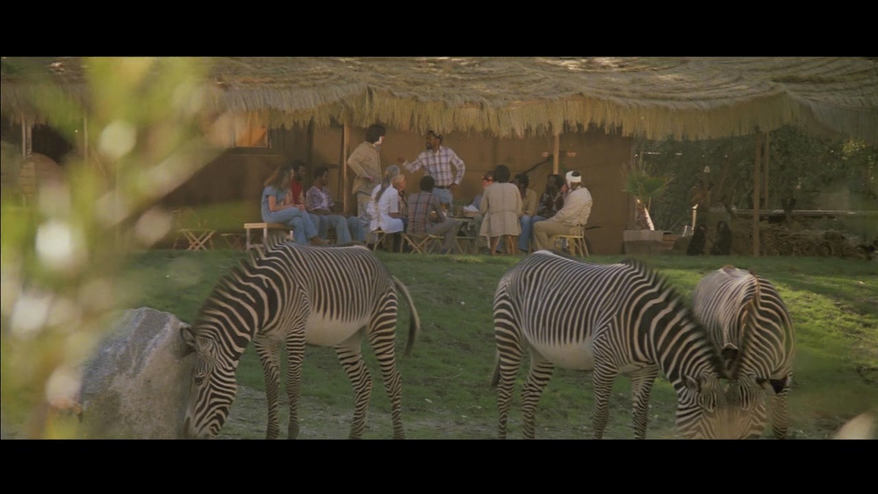 Roar (1981) Noel Marshall, Tippi Hedren, Melanie Griffith, Adventure, Thriller-poster