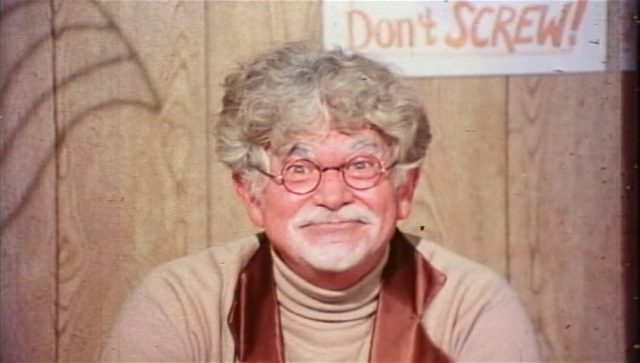 Carter Stevens - Rollerbabies (1976)-poster