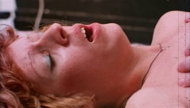 Carter Stevens - Rollerbabies (1976)-poster