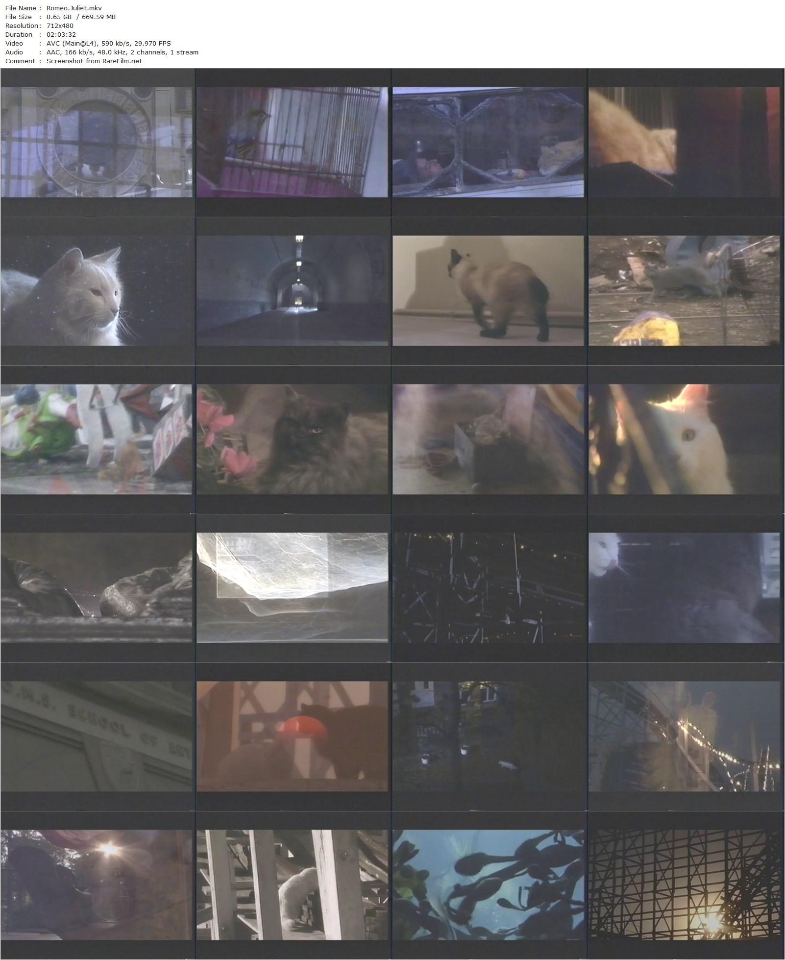 Romeo.Juliet (1990) Armondo Linus Acosta, John Hurt, Robert Powell, Francesca Annis-poster