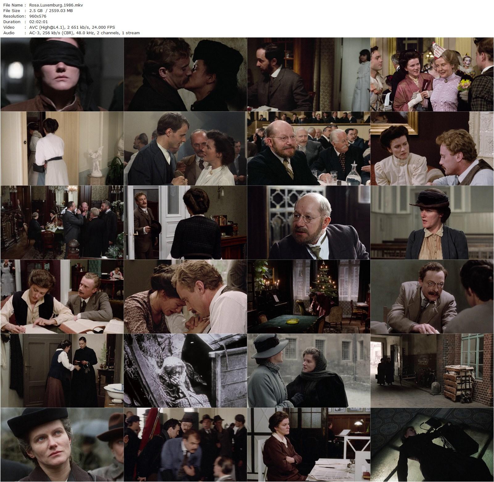 Rosa Luxemburg (1986) Margarethe von Trotta, Barbara Sukowa, Daniel Olbrychski, Otto Sander-poster