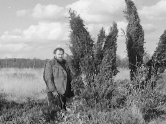 Hans H. König - Rosen blühen auf dem Heidegrab AKA Roses Bloom on the Grave in the Meadow (1952)-poster
