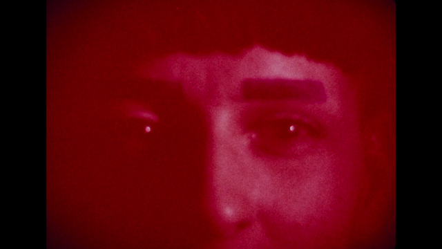 Rote Ohren fetzen durch Asche (1992) by Ursula Puerrer & A. Hans Scheirl & Dietmar Schipek-poster