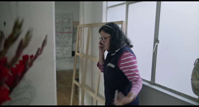 Rotting in the Sun (2023) | Worldscinema | Download Free-poster