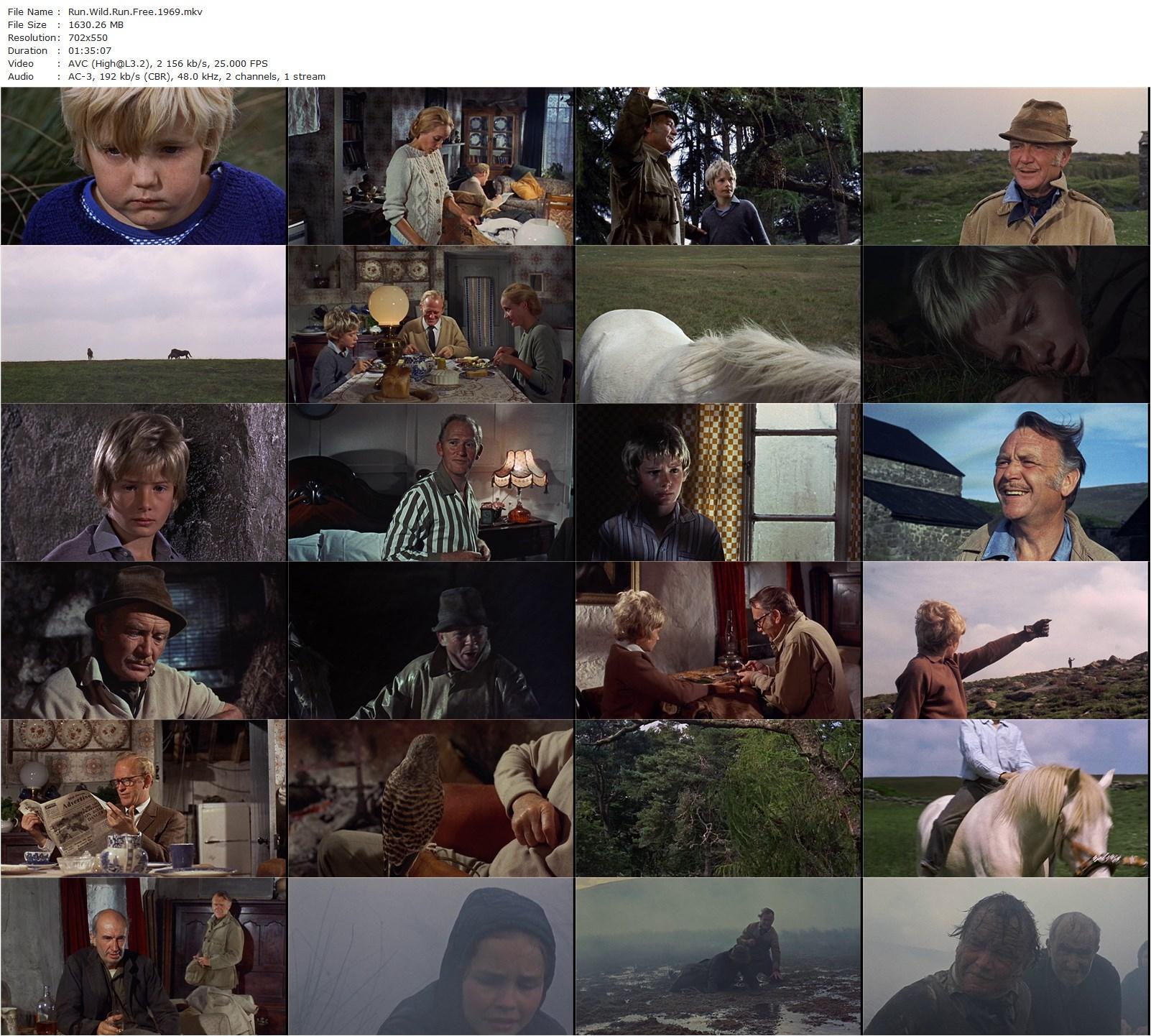 Run Wild, Run Free (1969) Richard C. Sarafian, John Mills, Gordon Jackson, Sylvia Syms-poster