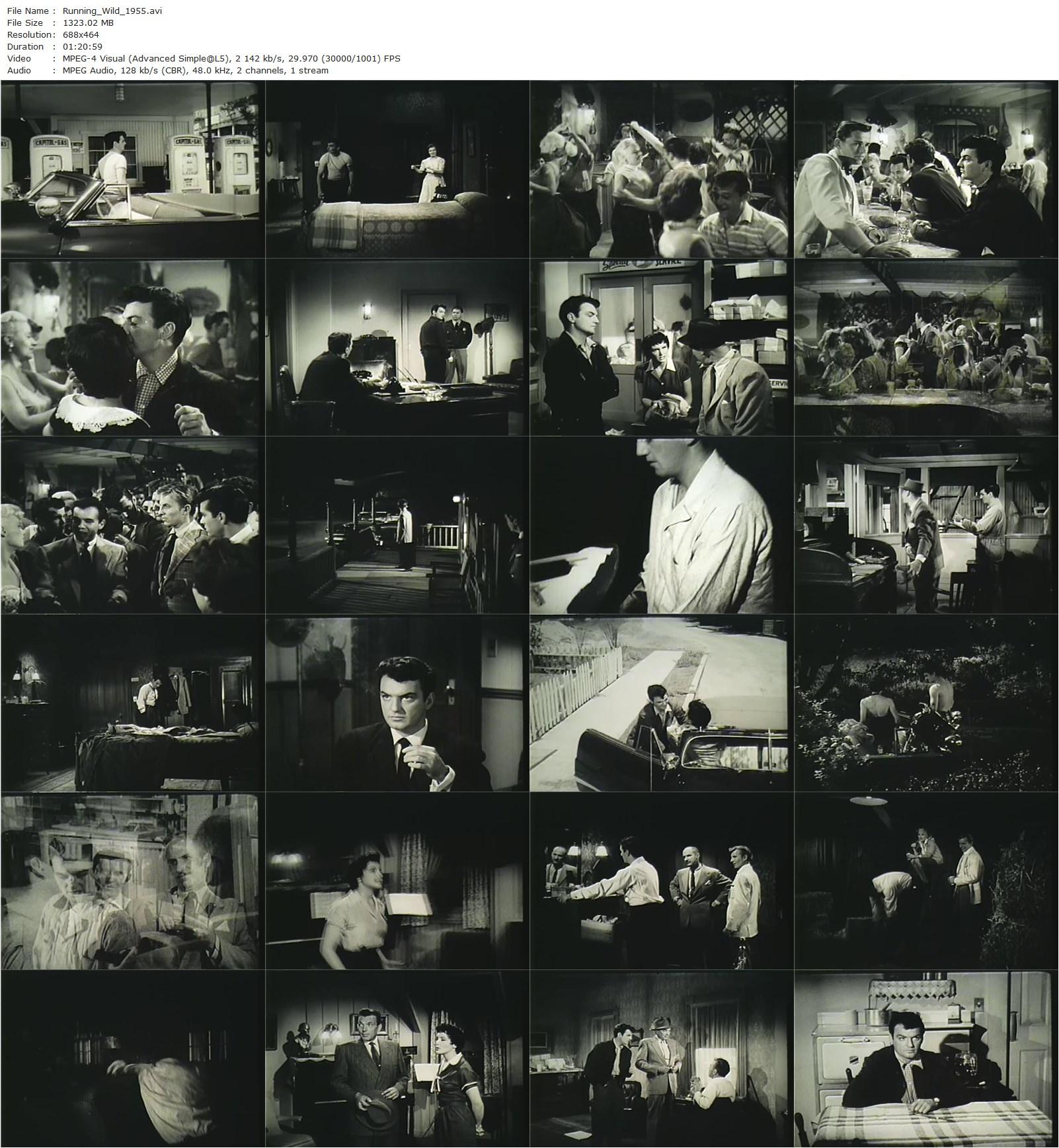 Running Wild (1955) Abner Biberman-poster