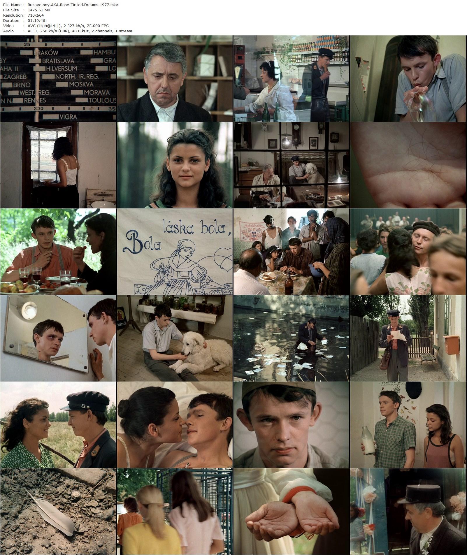 Rose Tinted Dreams AKA Ruzové sny (1977) Dusan Hanák, Juraj Nvota, Iva Bittová, Josef Hlinomaz-poster