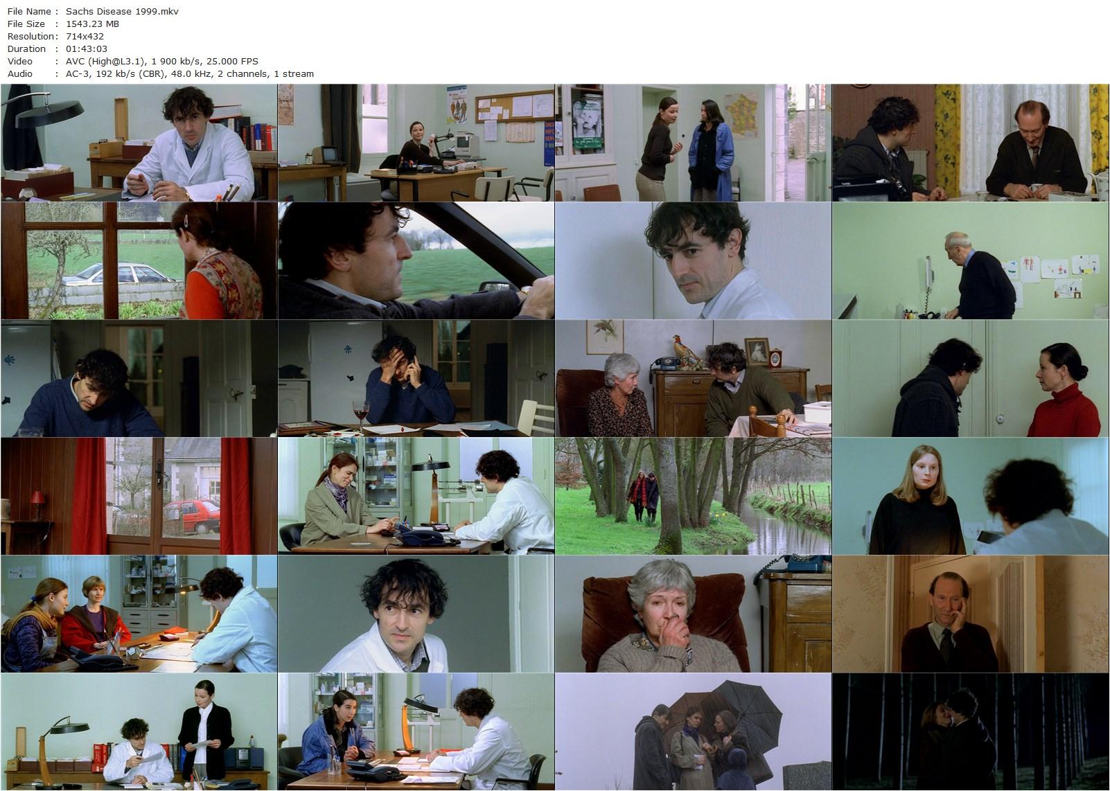 Sachs’ Disease AKA La maladie de Sachs (1999) Michel Deville, Albert Dupontel, Valérie Dréville, Dominique Reymond-poster