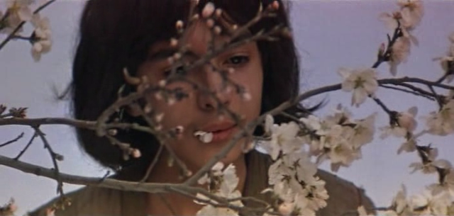 Sad zhelaniy AKA Garden of Desires (1987) by Ali Khamraev-poster