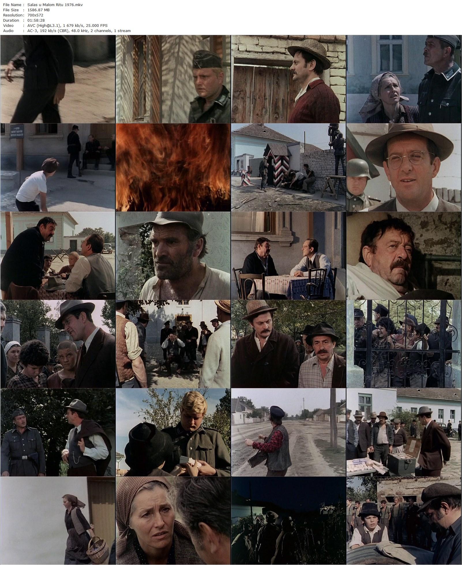 The Farm in the Small Marsh AKA Salas u Malom Ritu (1976) Branko Bauer, Slavko Stimac, Miodrag Radovanovic, Pavle Vuisic-poster