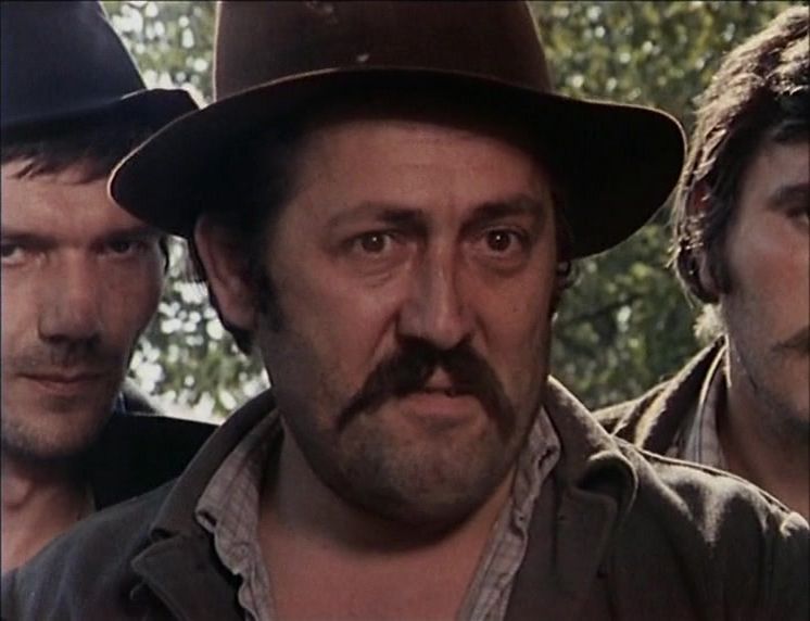 The Farm in the Small Marsh AKA Salas u Malom Ritu (1976) Branko Bauer, Slavko Stimac, Miodrag Radovanovic, Pavle Vuisic-poster