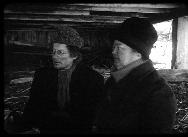 Salaviinanpolttajat (2017) | Worldscinema | Download Free-poster