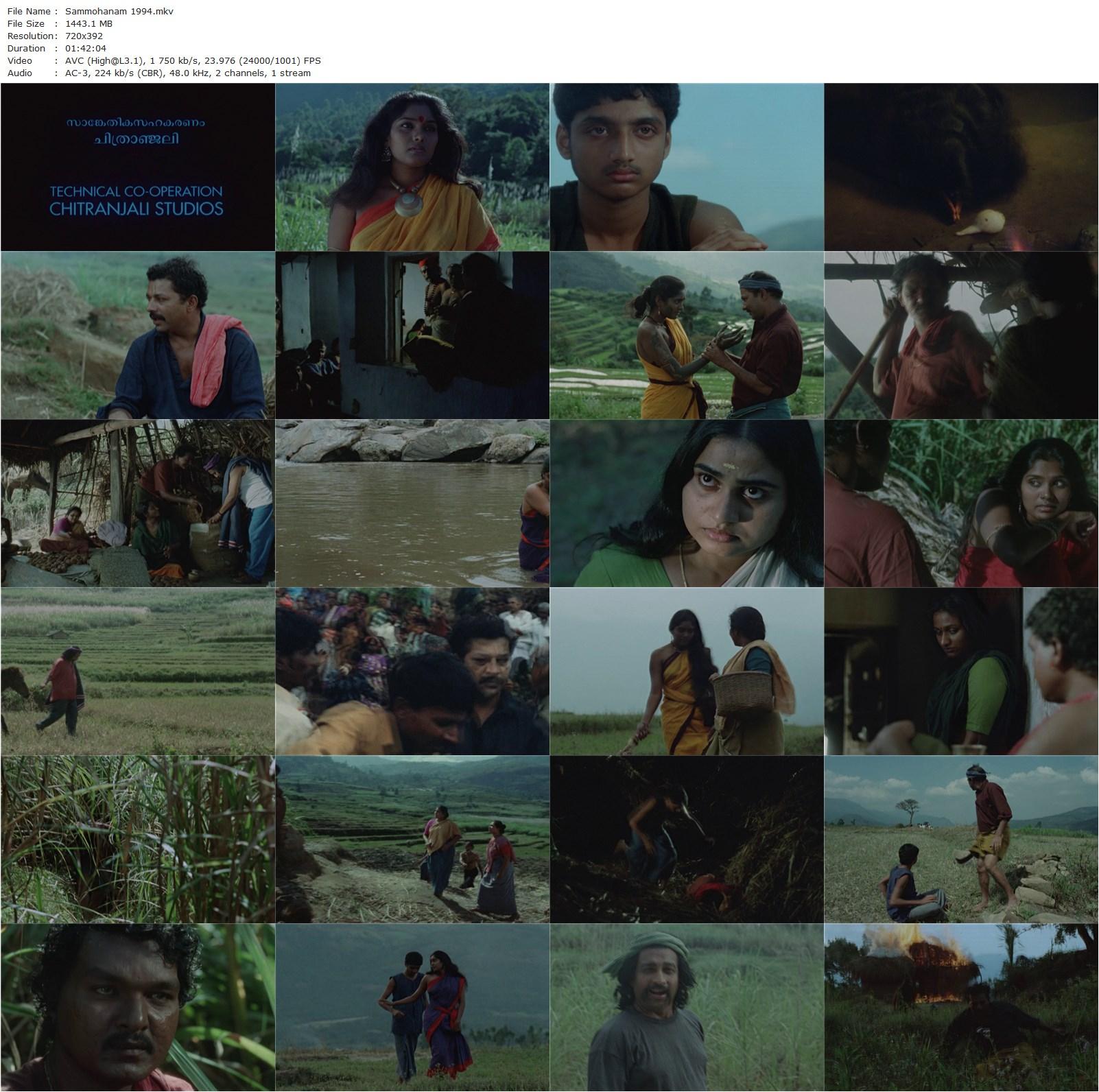 Enchantment AKA Sammohanam (1994) C.P. Padmakumar, Murali, Kukku Parameshwaram, Radhakrishnan-poster