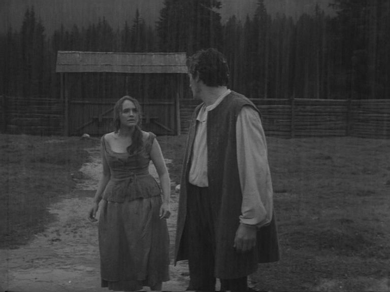 Samorastniki / Wild Growth (1963) Igor Pretnar, Majda Potokar, Vida Juvan, Rudi Kosmac, Drama-poster