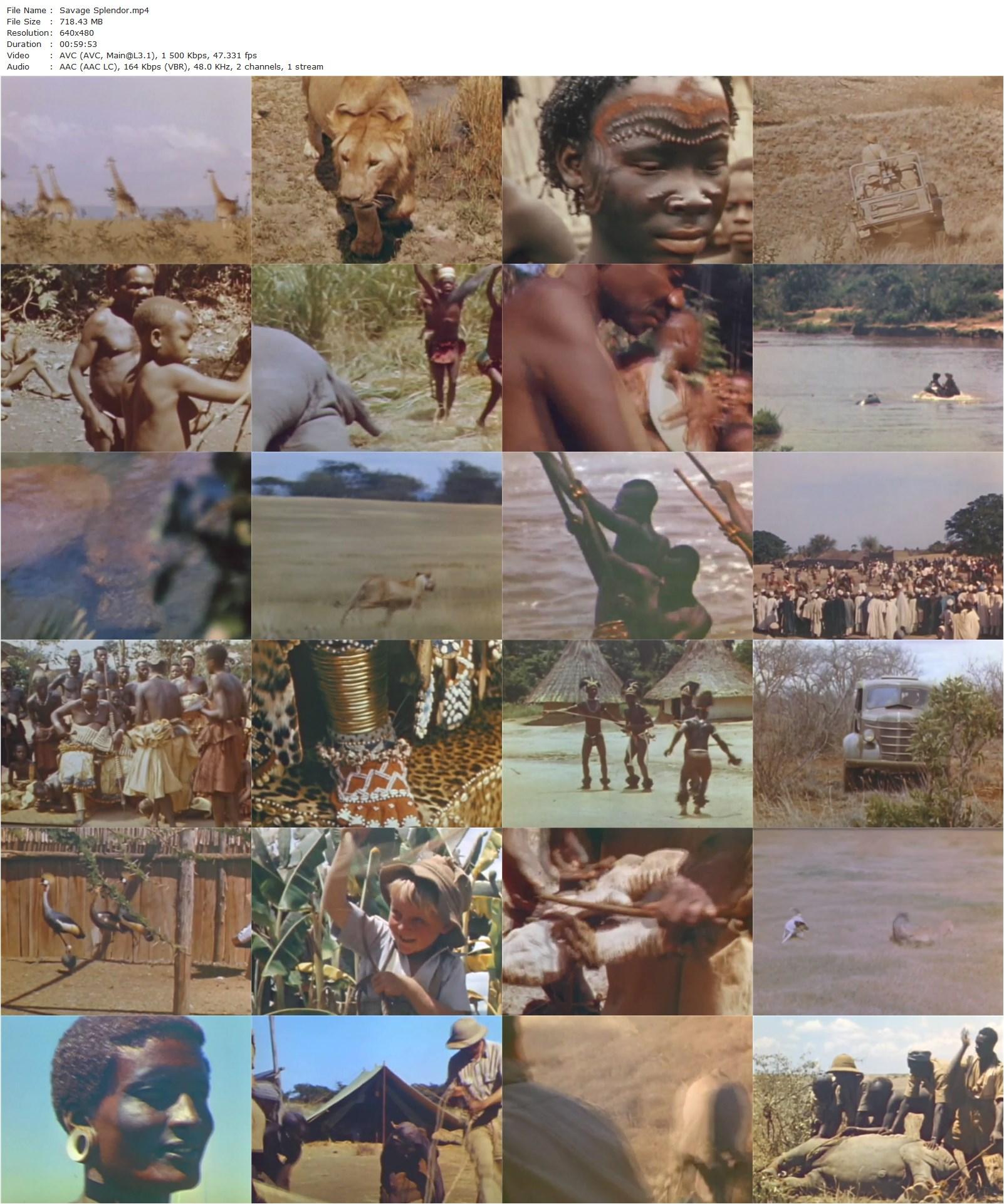 Savage Splendor (1949) Armand Denis, Lewis Cotlow, Carr Hartley-poster