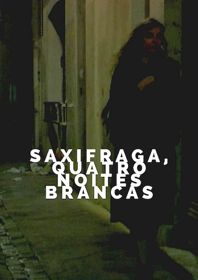 Saxifrages, quatre nuits blanches (2021)