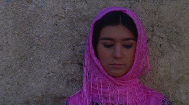 Bahman Farmanara - Sayehaye bolande bad AKA Tall Shadows of the Wind (1979)-poster