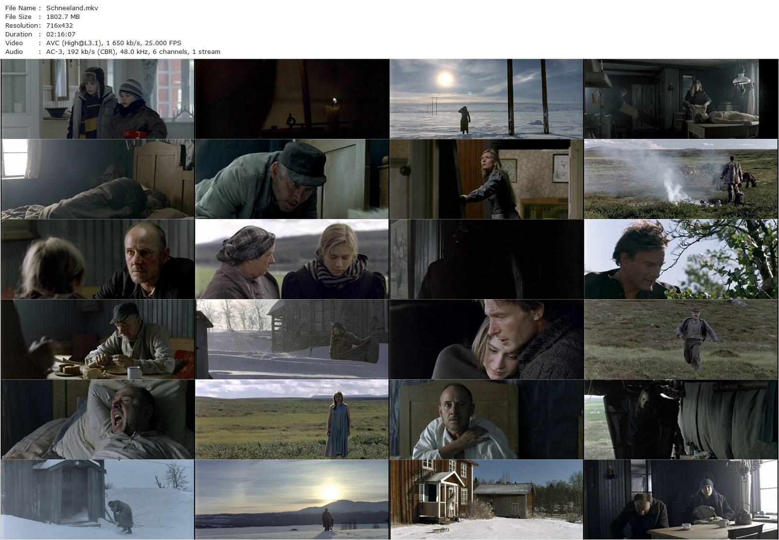 Snowland AKA Schneeland (2005) Hans W. Geissendörfer, Thomas Kretschmann, Julia Jentsch, Maria Schrader-poster