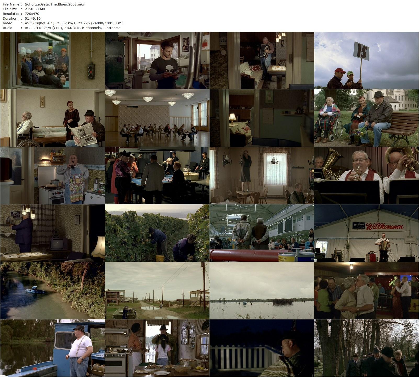 Schultze Gets the Blues (2003) Michael Schorr, Horst Krause, Harald Warmbrunn, Karl-Fred Müller-poster