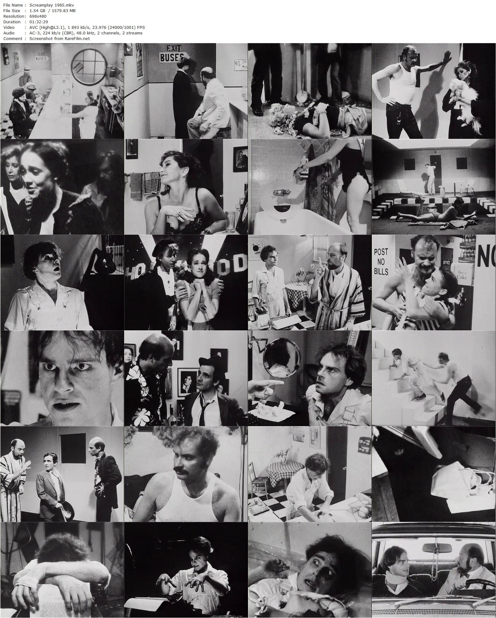 Screamplay (1984) Rufus Butler Seder, Eugene Seder, Cheryl Hirshman-poster