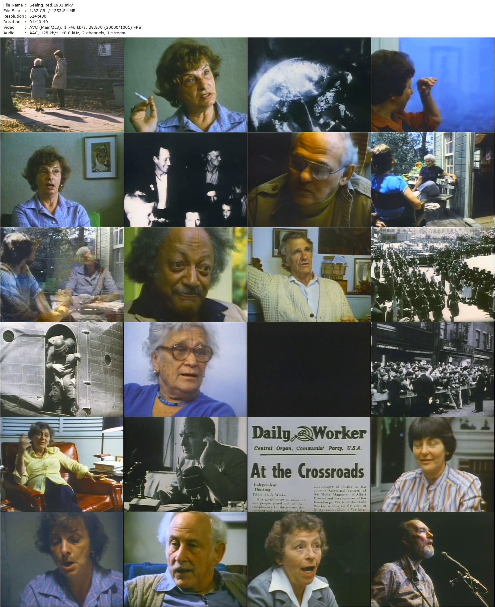 Seeing Red (1983) Jim Klein, Julia Reichert, Oscar Hunter, Rose Podmaka, Sylvia Woods-poster