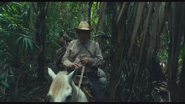 Selva trágica (2020) | Worldscinema | Download Free-poster