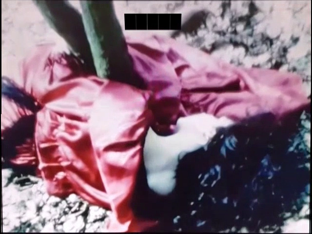 Selva. Un portrait de Parvaneh Navaï (1983)-poster