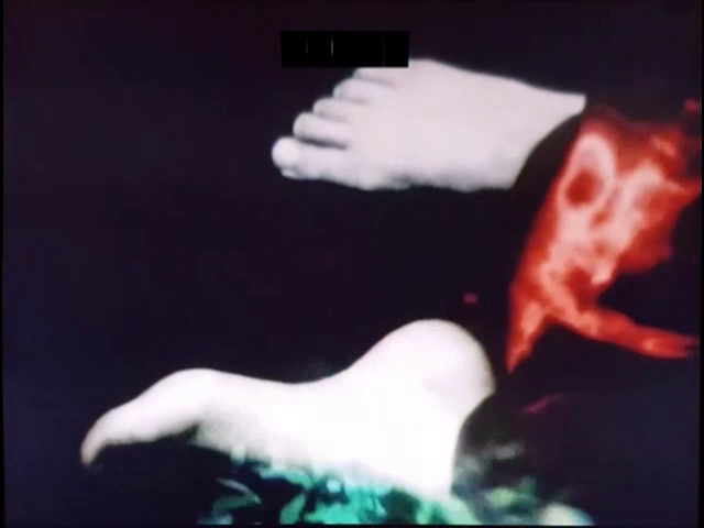 Selva. Un portrait de Parvaneh Navaï (1983)-poster