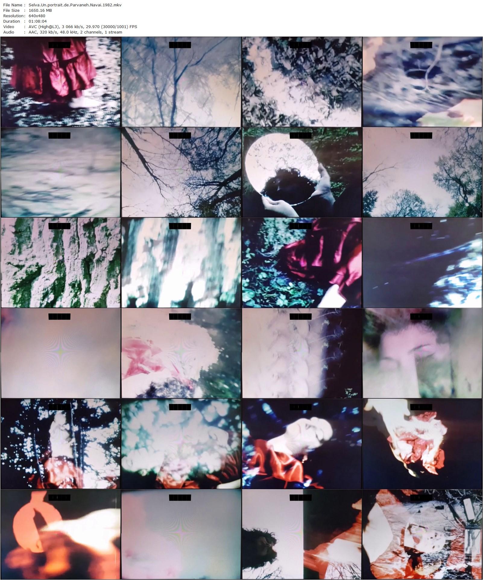 Selva. Un portrait de Parvaneh Navaï (1983) Maria Klonaris-poster