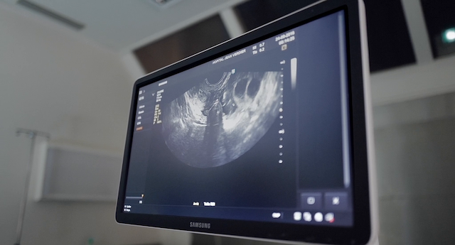 Serendipity (2019) directed by Prune Nourry-poster