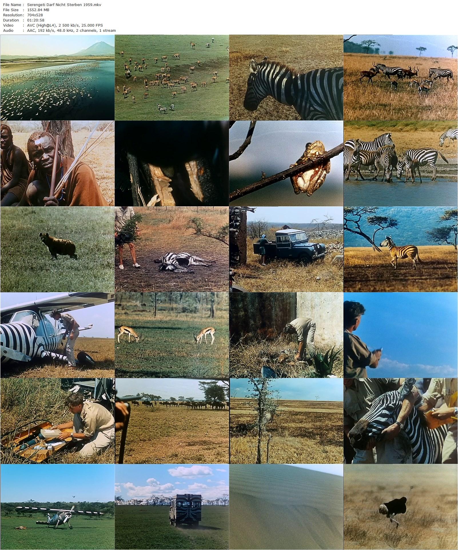 Serengeti Shall Not Die AKA Serengeti darf nicht sterben (1959) Bernhard Grzimek, Holger Hagen, Hermann Rockmann-poster