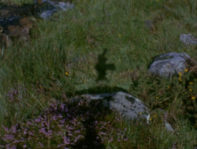 Seven Days (1974) by Chris Welsby-poster