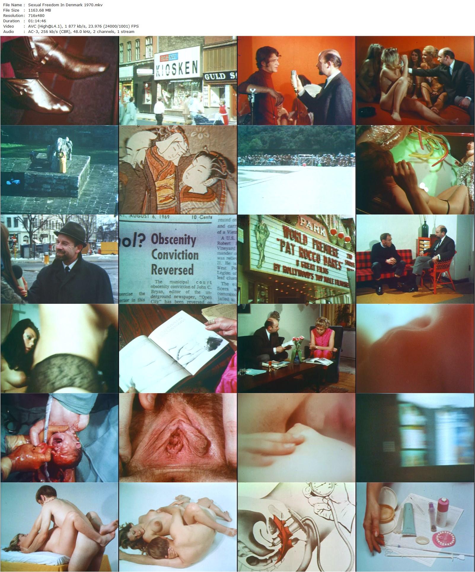 Sexual Freedom In Denmark (1970) John Lamb, Karen Biller, Lizzie Bundgaard, Ruth Dymose-poster