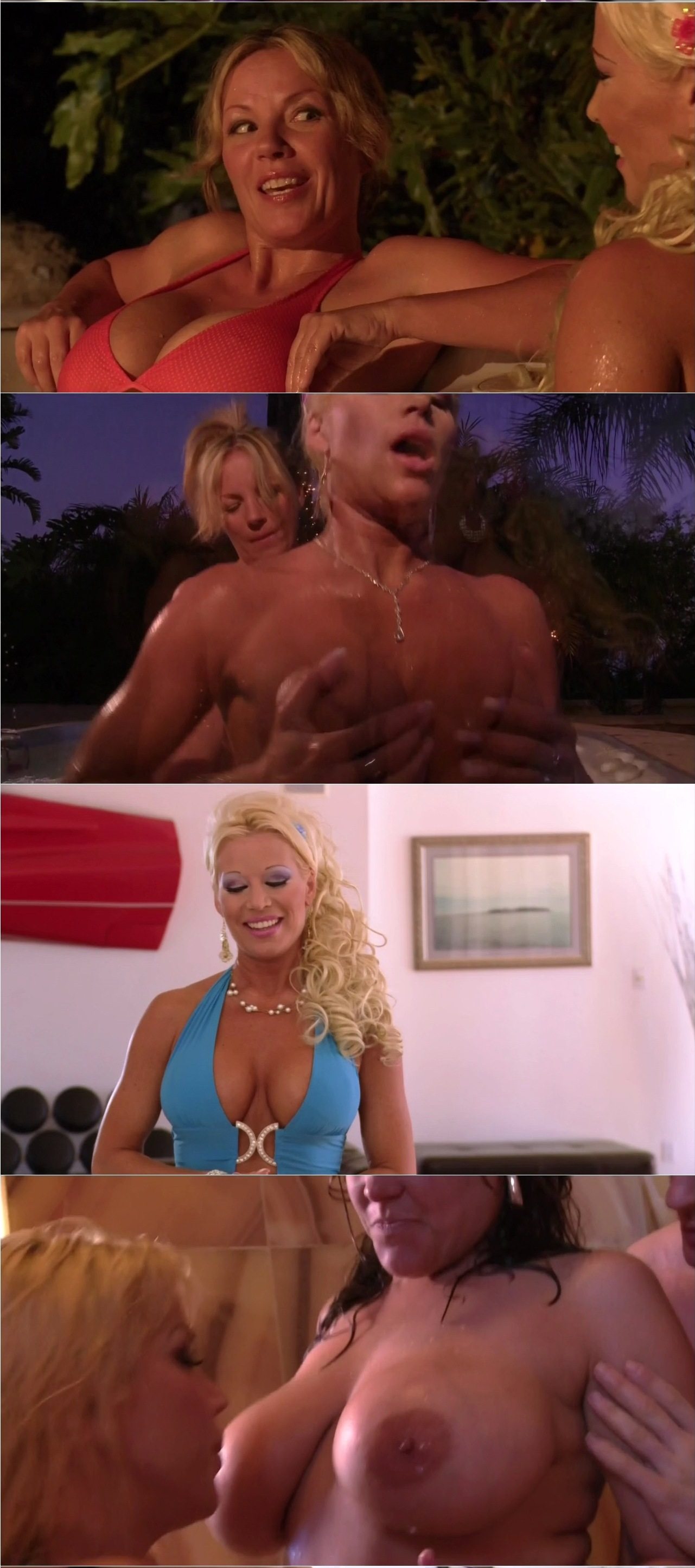 Sexy Wives Sindrome (2011) Jim Wynorski, Frankie Cullen, Cindy Lucas, Julie K. Smith-poster