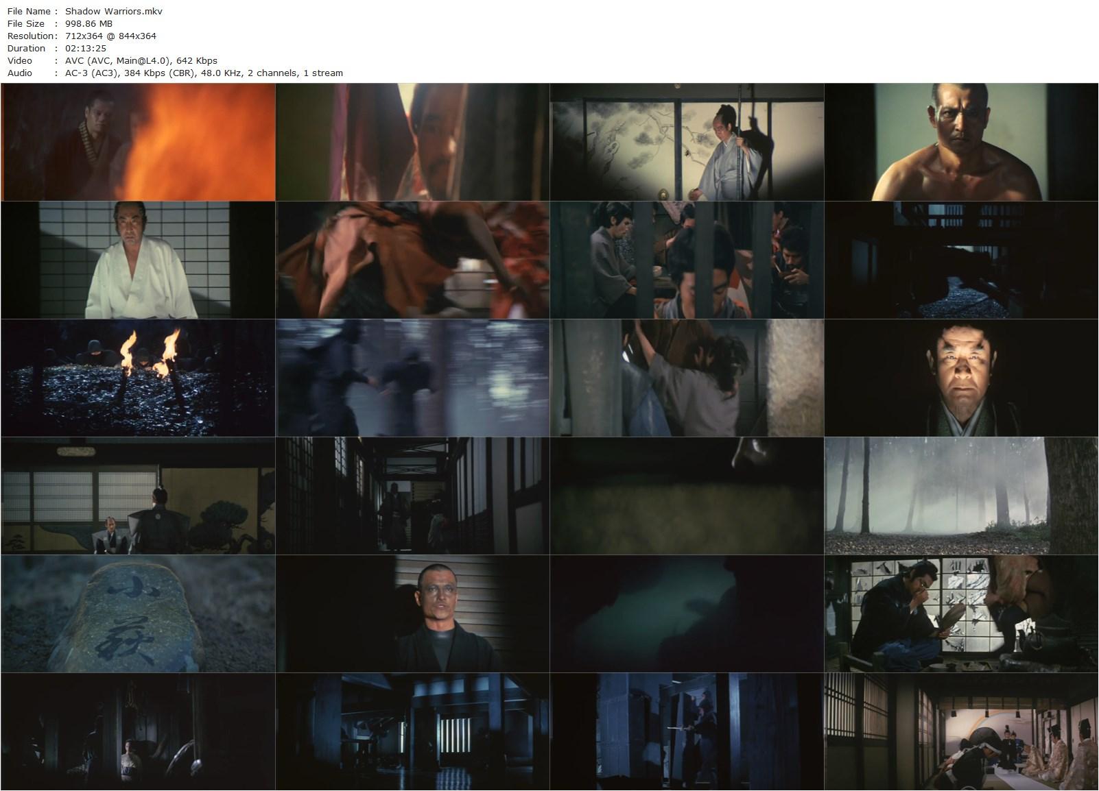 Shadow Warriors (1979) Eiichi Kudô, Teruhiko Saigô, Tsunehiko Watase, Sô Yamamura-poster