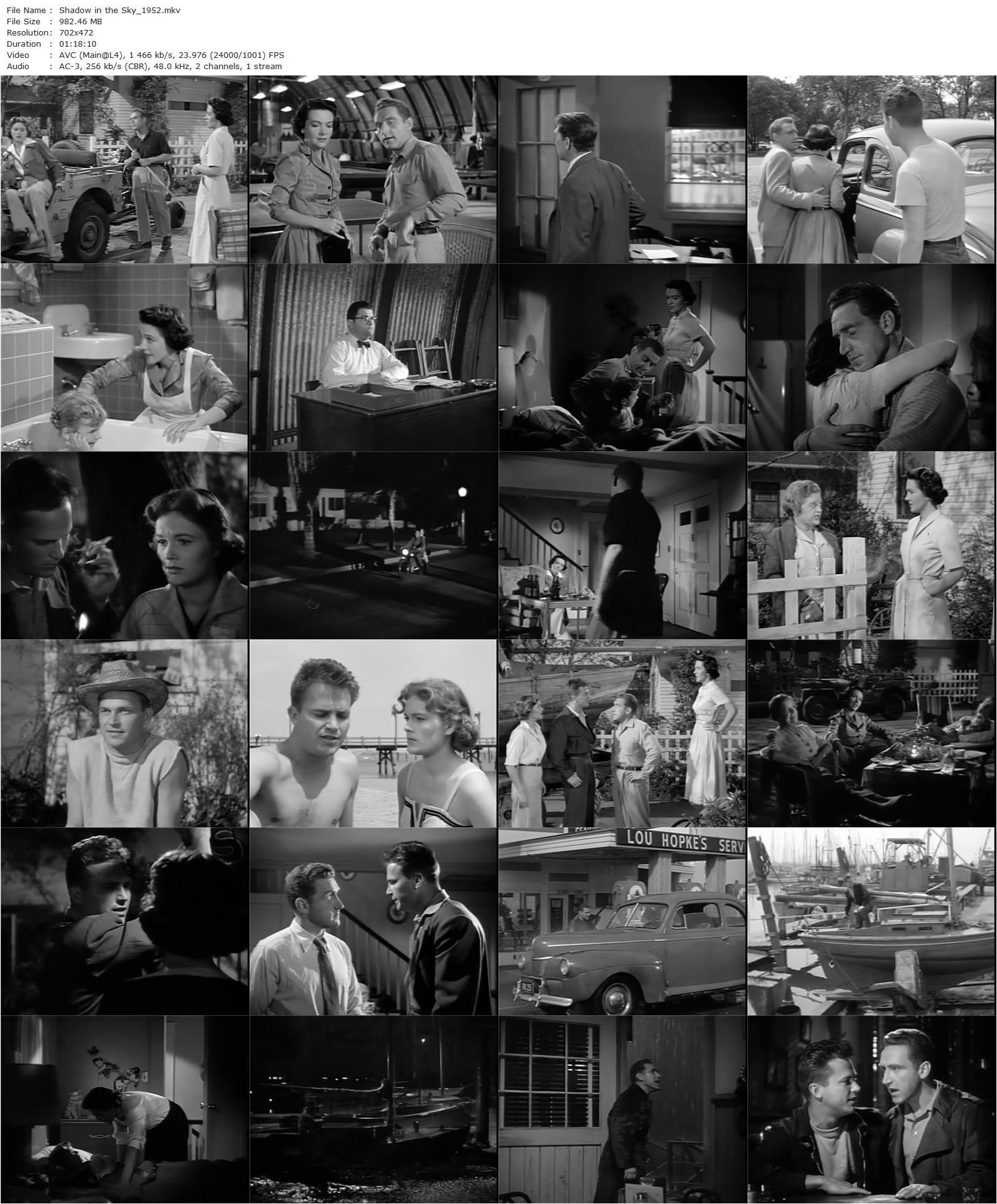 Shadow in the Sky (1952) Fred M. Wilcox, Ralph Meeker, Nancy Reagan, James Whitmore-poster