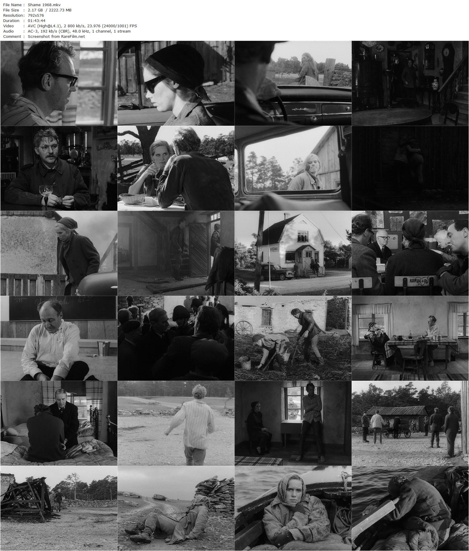 Shame / Skammen (1968) Ingmar Bergman, Liv Ullmann, Max von Sydow, Sigge Fürst-poster