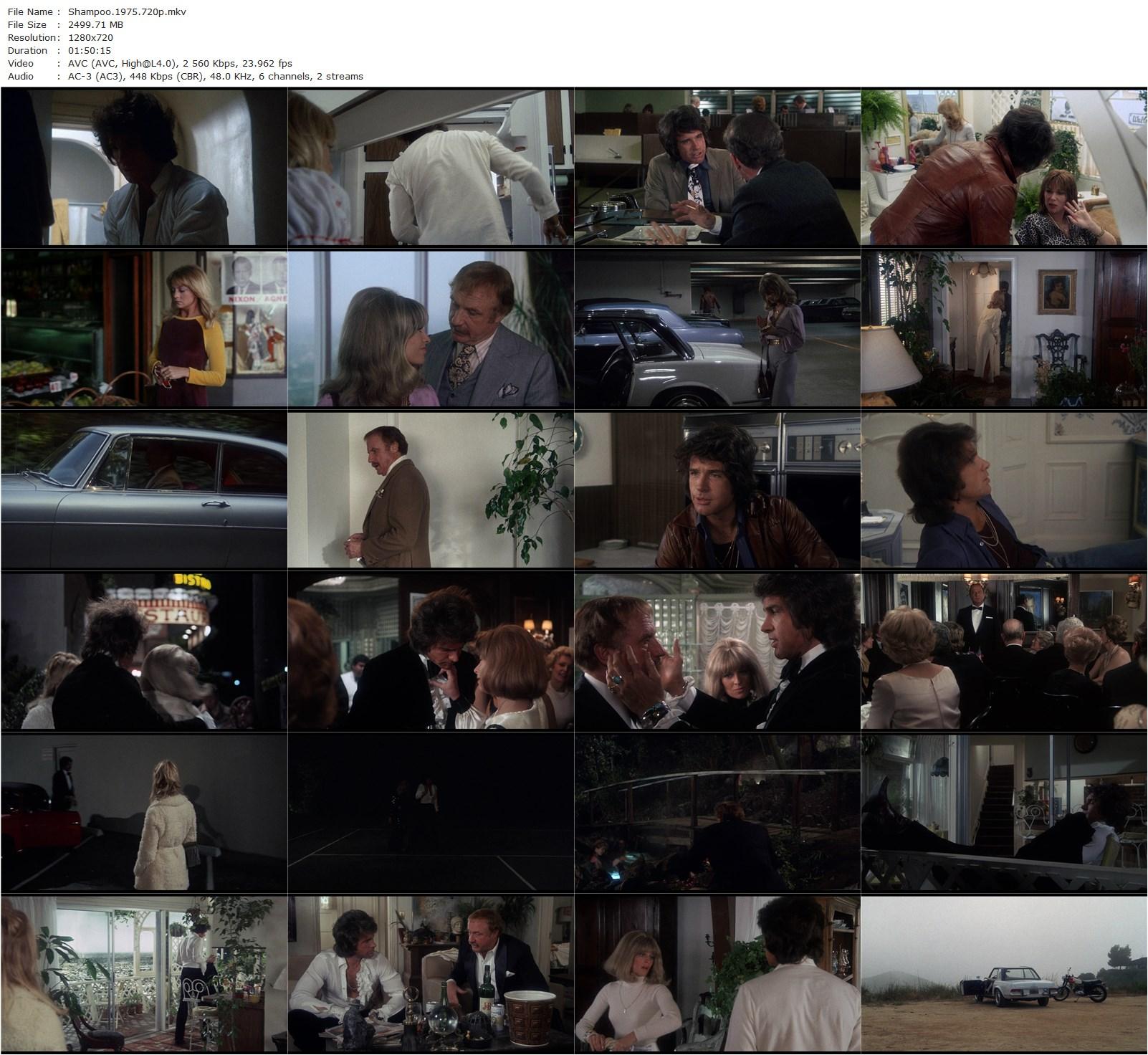 Shampoo (1975) Hal Ashby, Warren Beatty, Julie Christie, Goldie Hawn-poster