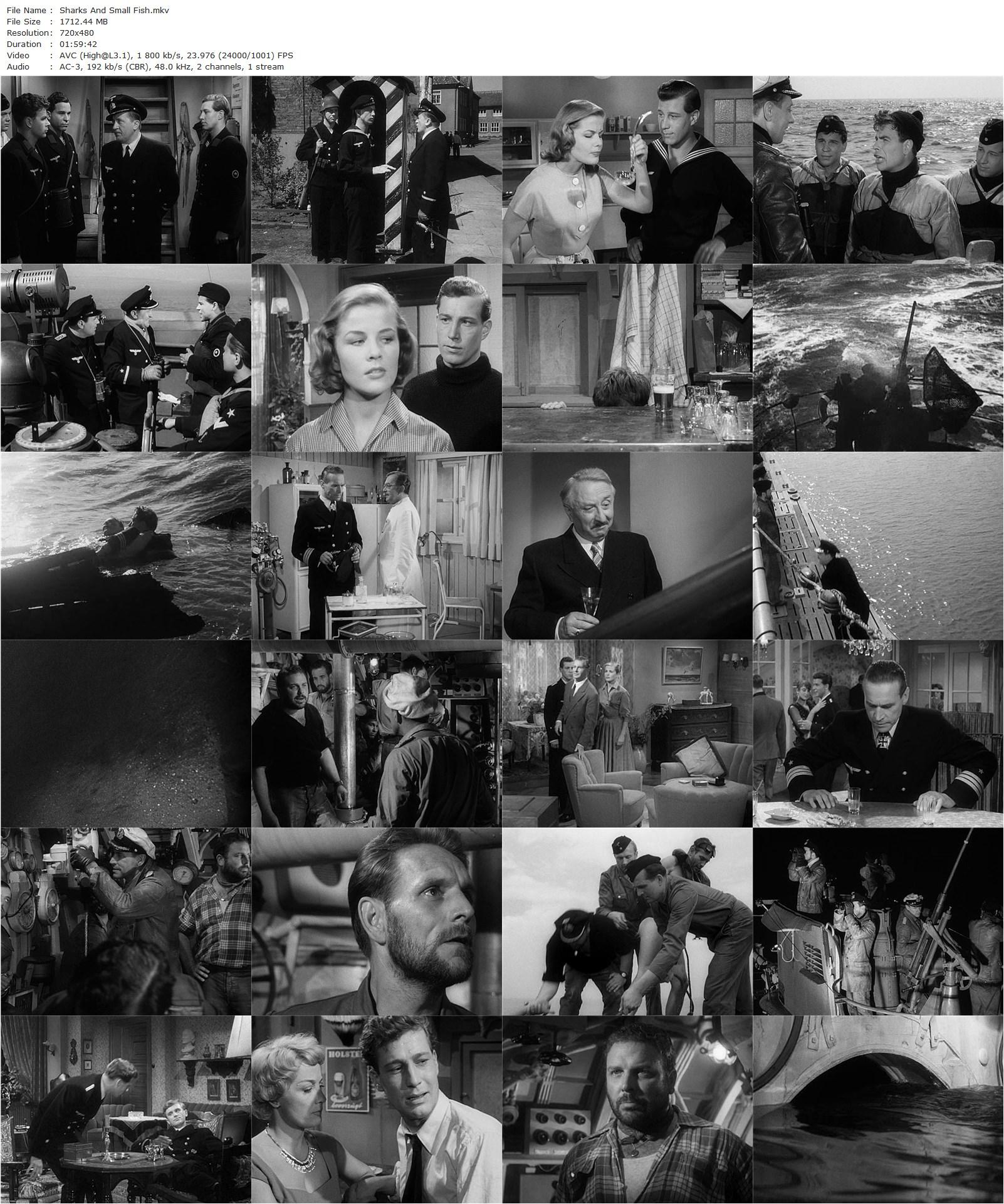 Sharks and Small Fish AKA Haie und kleine Fische (1957) Frank Wisbar, Hansjörg Felmy, Sabine Bethmann, Wolfgang Preiss-poster