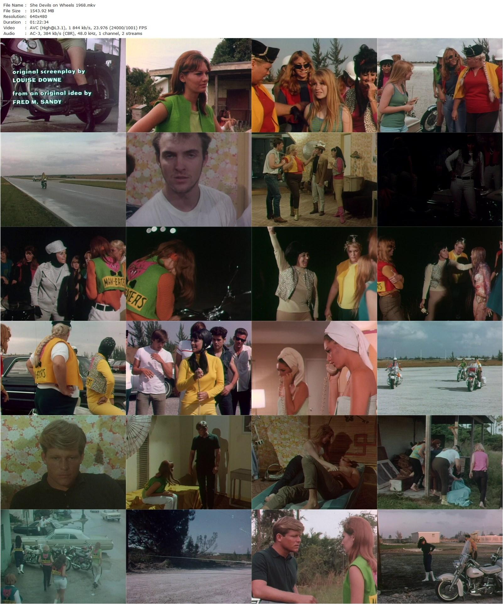 She-Devils on Wheels (1968) Herschell Gordon Lewis, Betty Connell, Nancy Lee Noble, Christie Wagner-poster