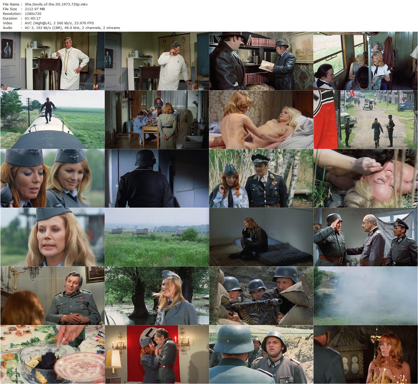 She Devils of the Ss AKA Eine Armee Gretchen (1973) Erwin C. Dietrich, Elisabeth Felchner, Karin Heske, Renate Kasché-poster