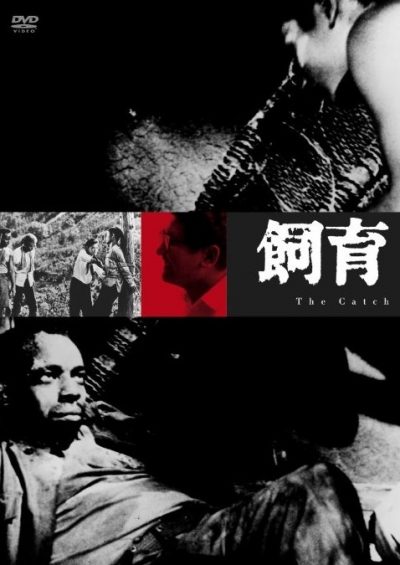 Nagisa Ôshima – Shiiku AKA The Catch (1961)