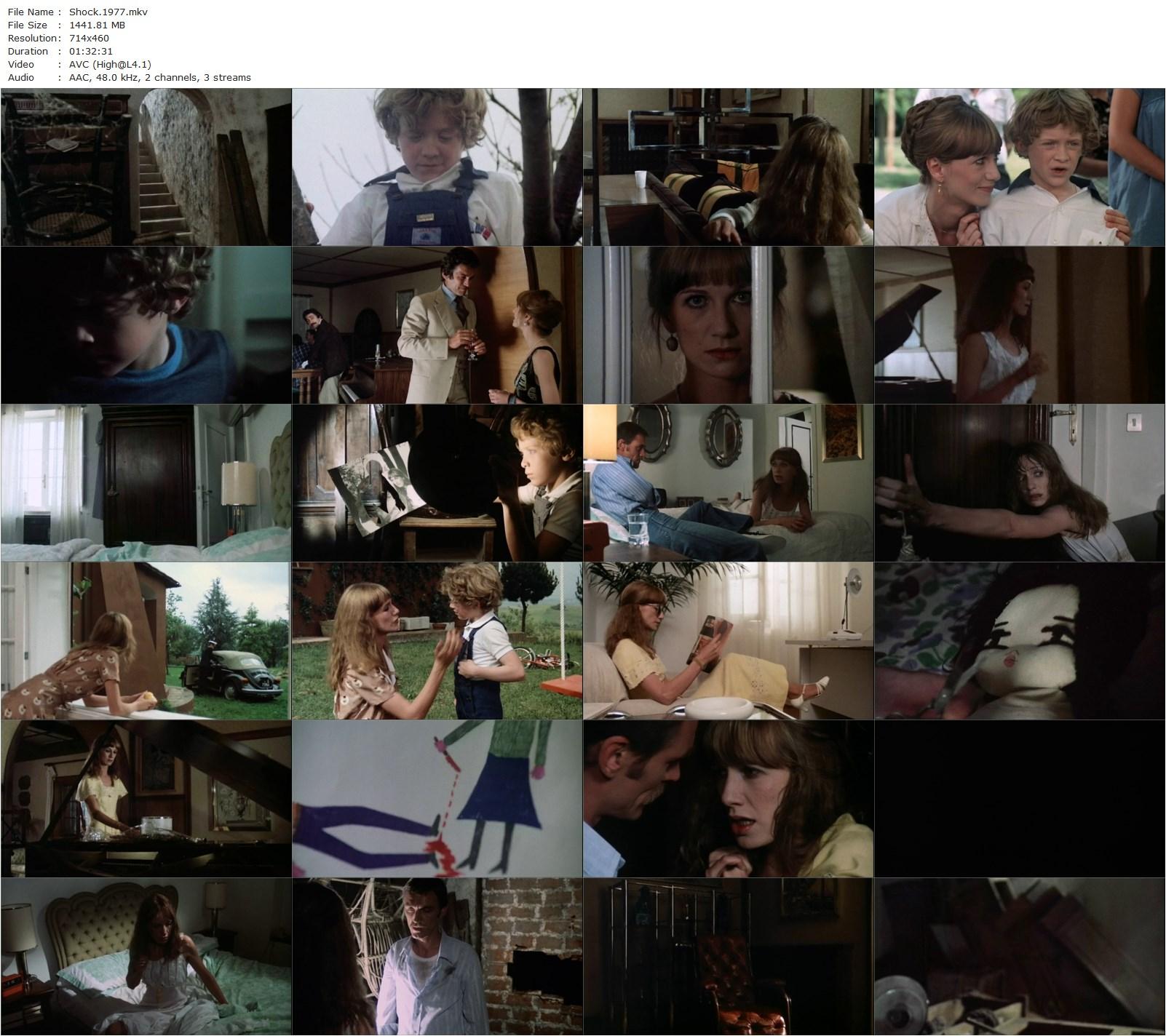 Shock AKA Schock (1977) Mario Bava, Lamberto Bava, Daria Nicolodi, John Steiner, David Colin Jr.-poster