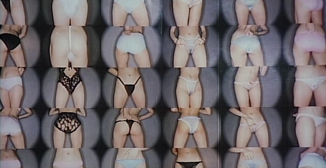 Shuchuwâdesu sukyandaru: Kemono no youni dakishimete (1984) by Masaru Konuma-poster